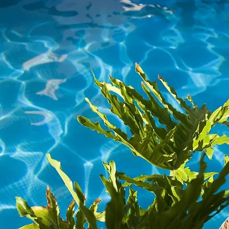 Piramides Hotel Playa de las Americas (Tenerife)