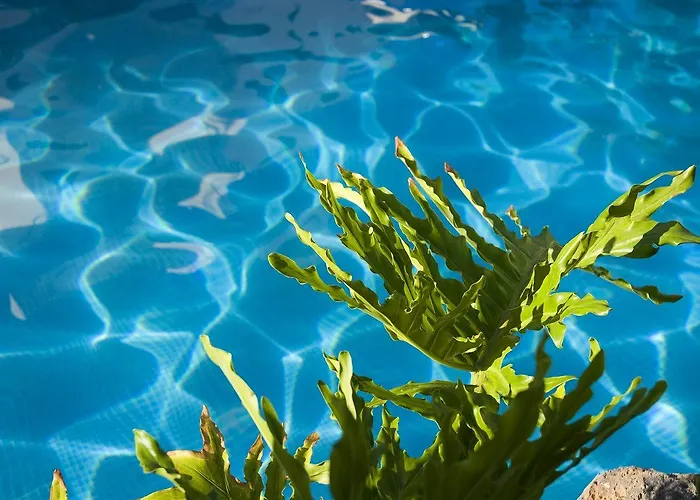 Piramides 酒店 美洲海滩